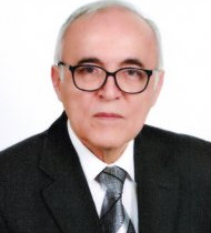 Prof.Dr. Cengiz YILMAZ